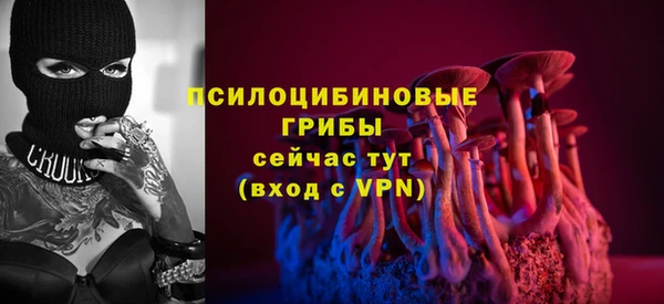 PSILOCYBIN Кукмор