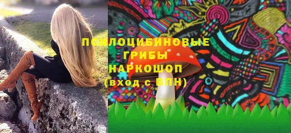PSILOCYBIN Кукмор