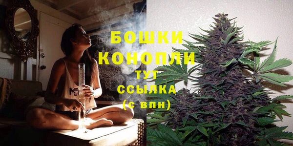 PSILOCYBIN Кукмор