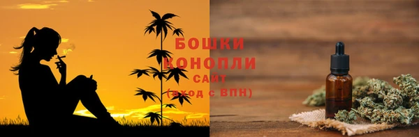 дурь Лабытнанги