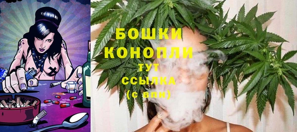 PSILOCYBIN Кукмор