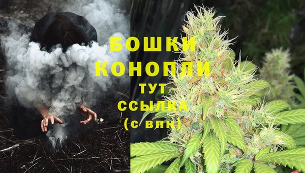 PSILOCYBIN Кукмор
