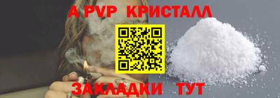 спиды Гагарин