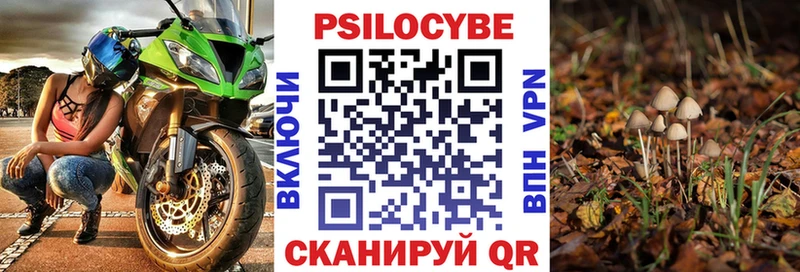Псилоцибиновые грибы прущие грибы  купить наркотик  Камышин 