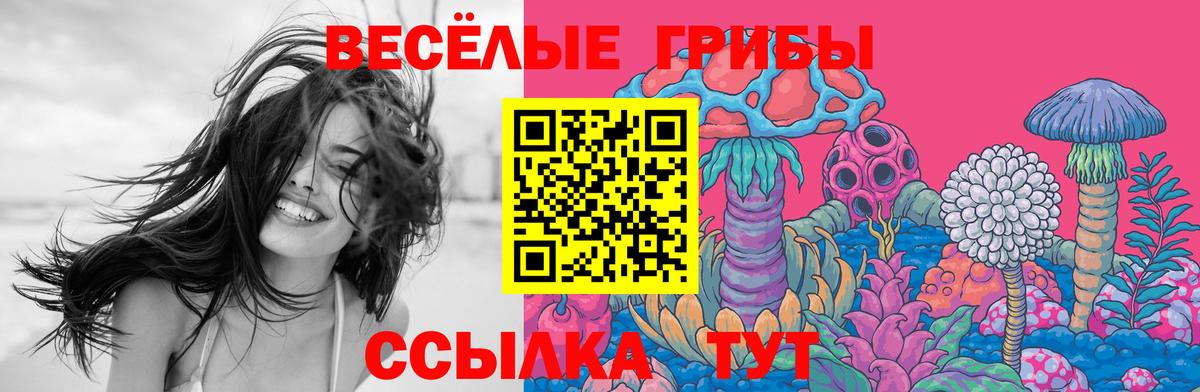 Псилоцибиновые грибы GOLDEN TEACHER Камышин