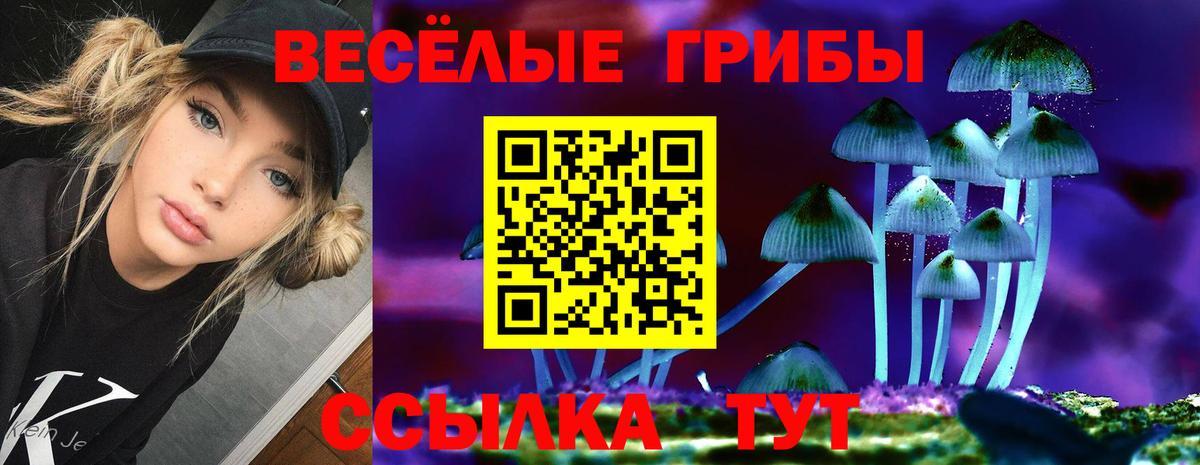 Псилоцибиновые грибы Psilocybine cubensis  Вход с VPN  Камышин 