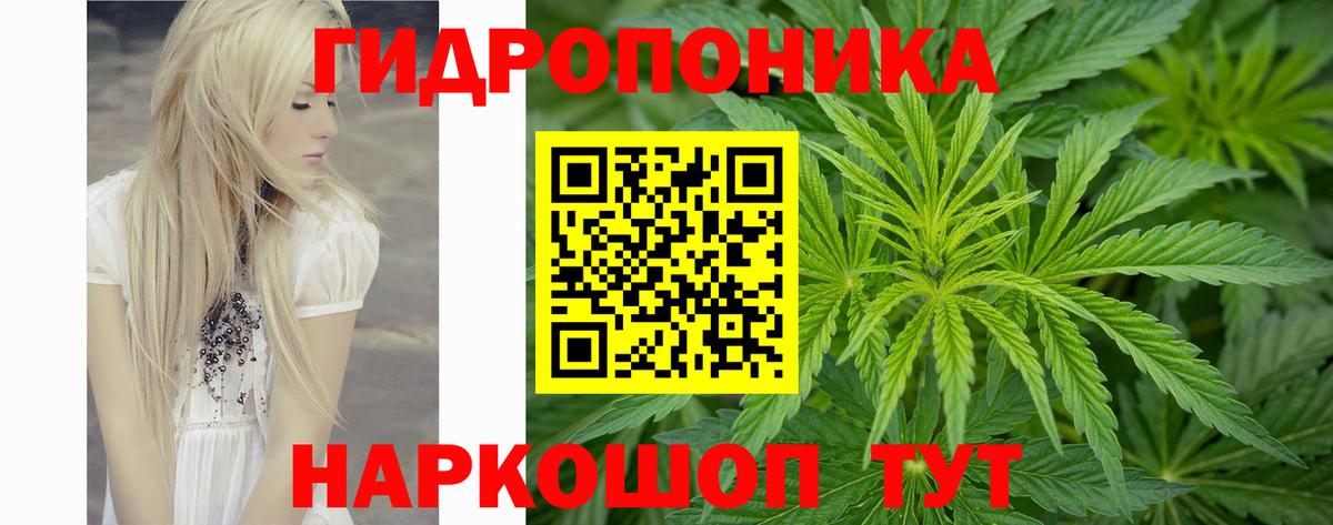 Камышин  Марихуана OG Kush  Бошки марихуана ГИДРОПОН  Бошки марихуана AK-47  Вход с VPN 